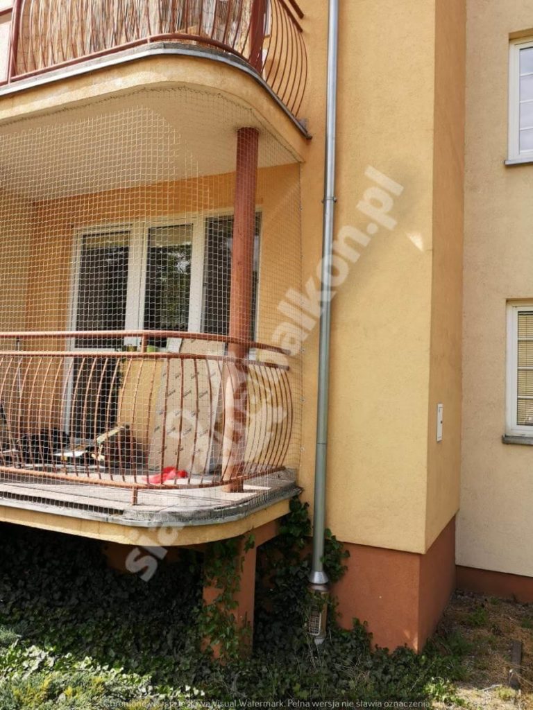 Bardzo dobre siatki balkonowe chroniące wasze koty